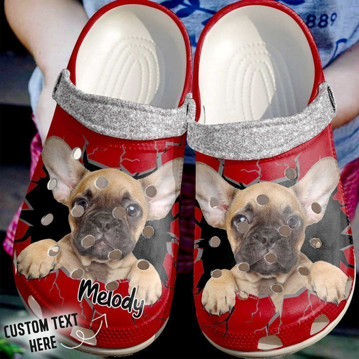 French Bulldog Personalized Crack Wall Frenchie Classic Clogs Shoes