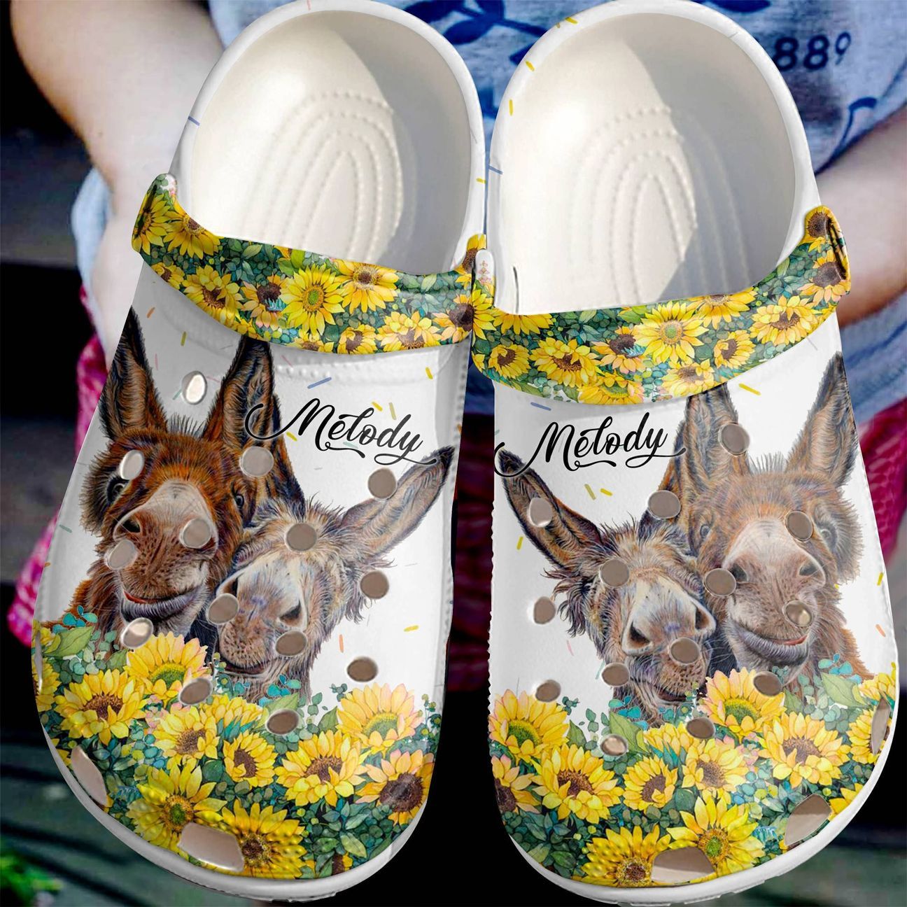 Donkey Personalized Personalize Clog, Custom Name, Text, Fashion Style For Women, Men, Kid, Print 3D Lovely Donkey