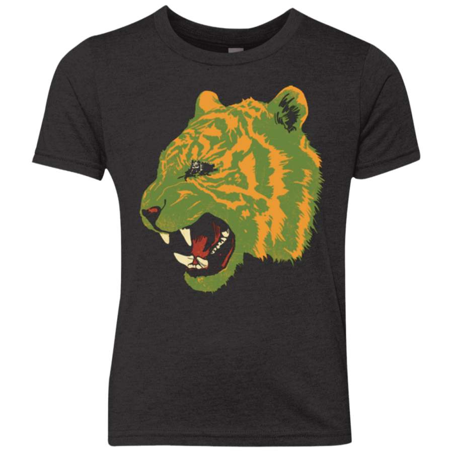 Eye Of The Tiger Youth Triblend T-Shirt