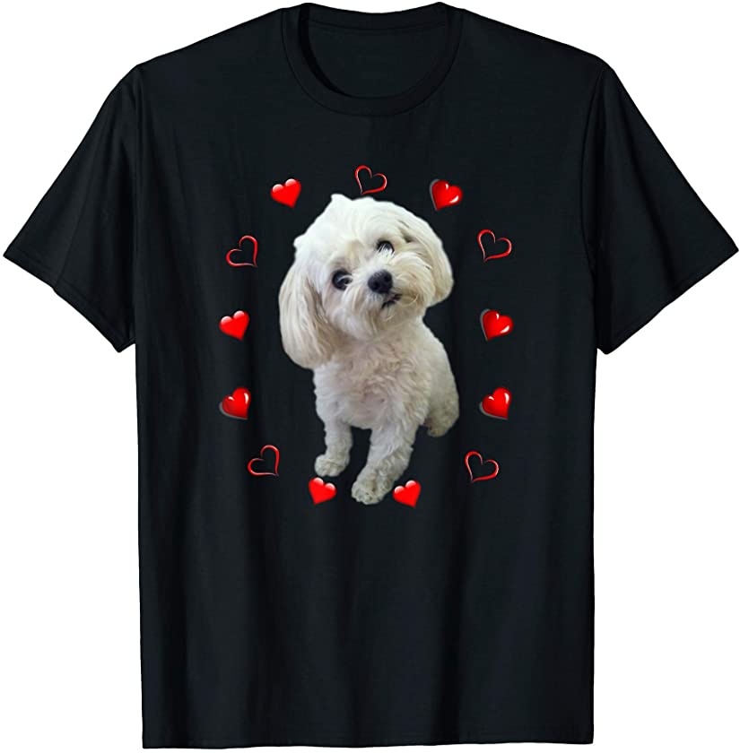 Maltese Dog Lover Puppy Owner Maltipoo Mix Fans Hearts T-Shirt