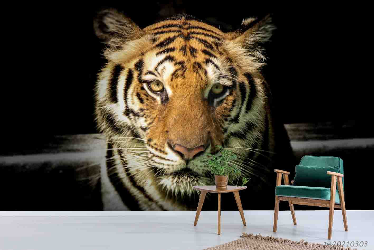 3D Animal Tiger Black Wall Mural Wallpaper Lqh 7