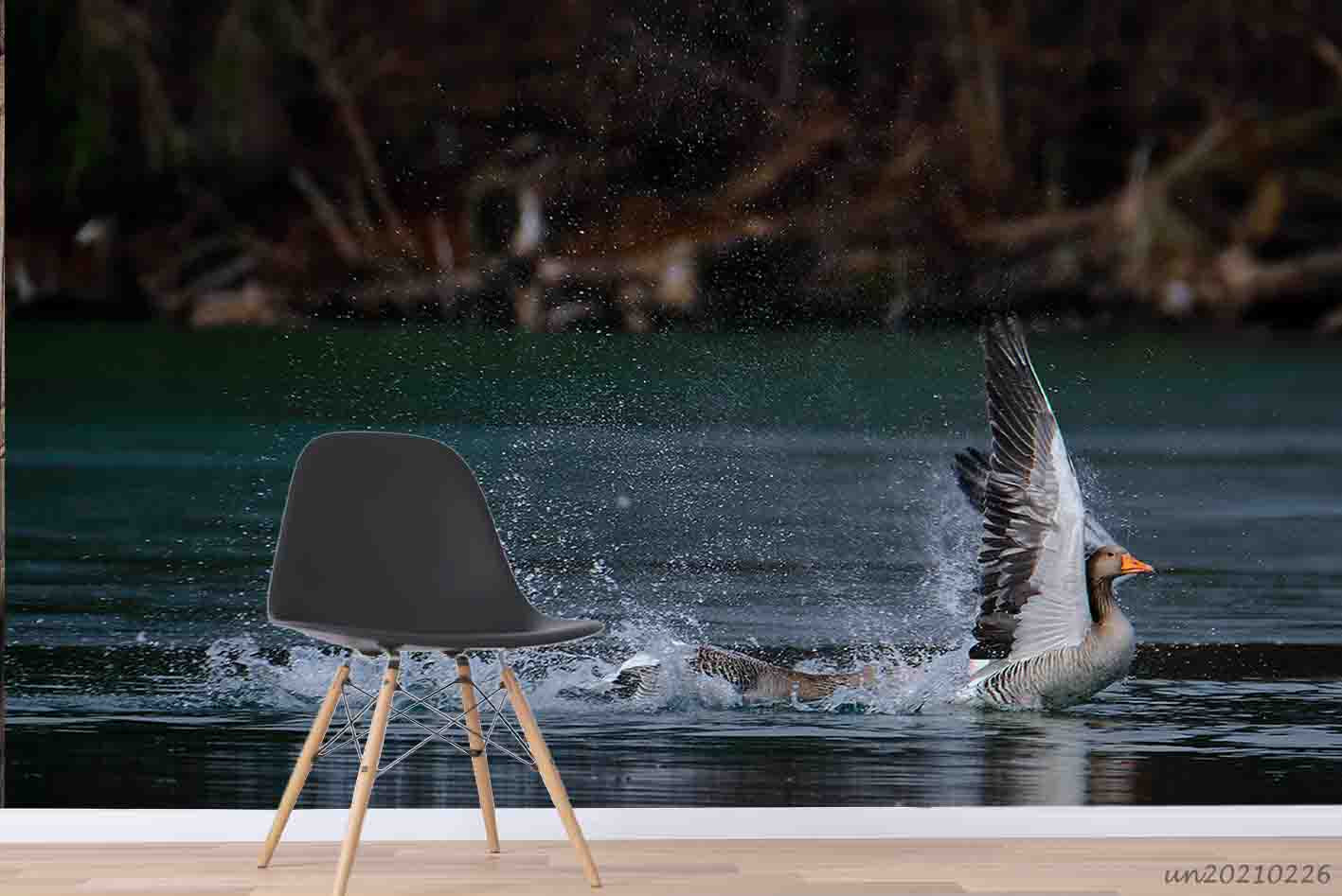 3D Lake Animal Goose Wall Mural Wallpaper Lqh 67