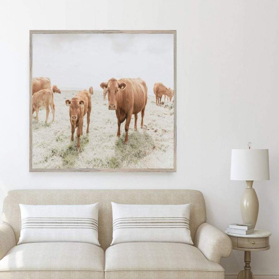 Cow – Boho Farmhouse Cow – Poster – MrDad Store