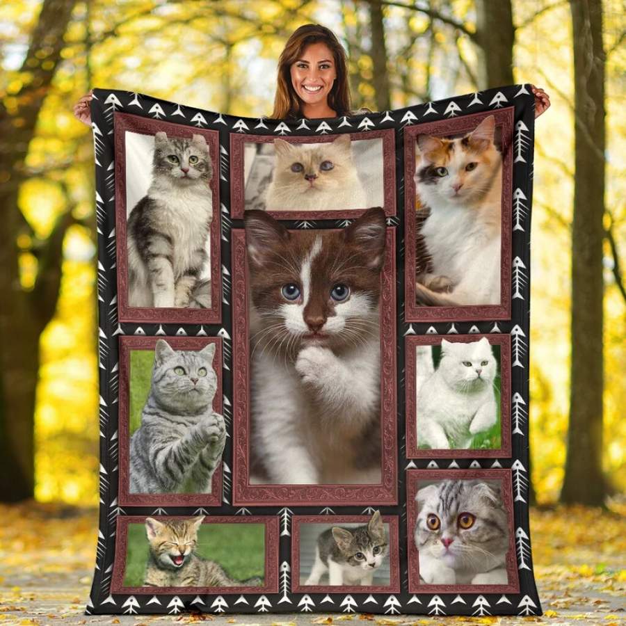 Cat Lover 3D Cat Ultra Soft Cozy Plush Fleece Blanket