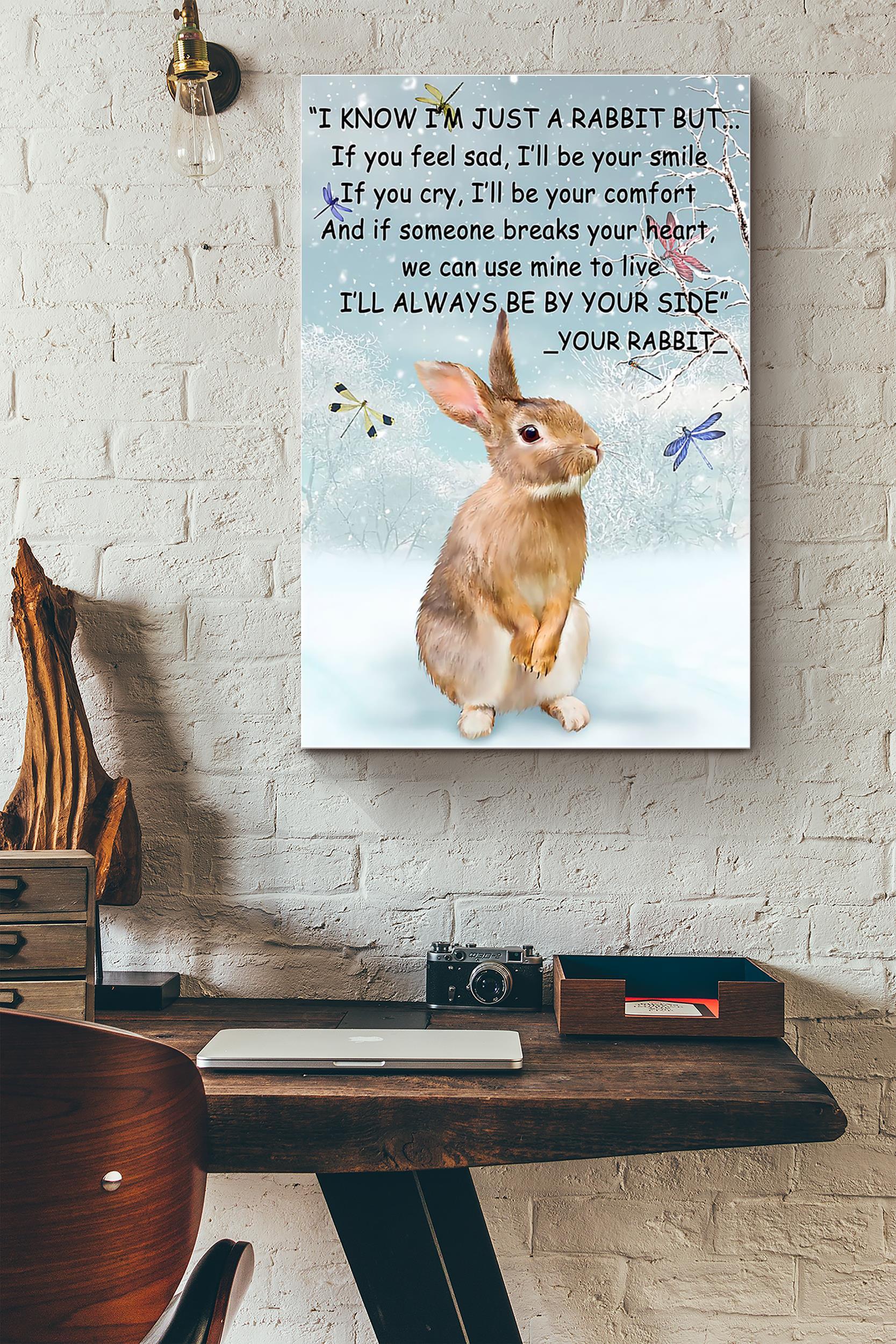 Rabbit Winter (Unframed) Poster