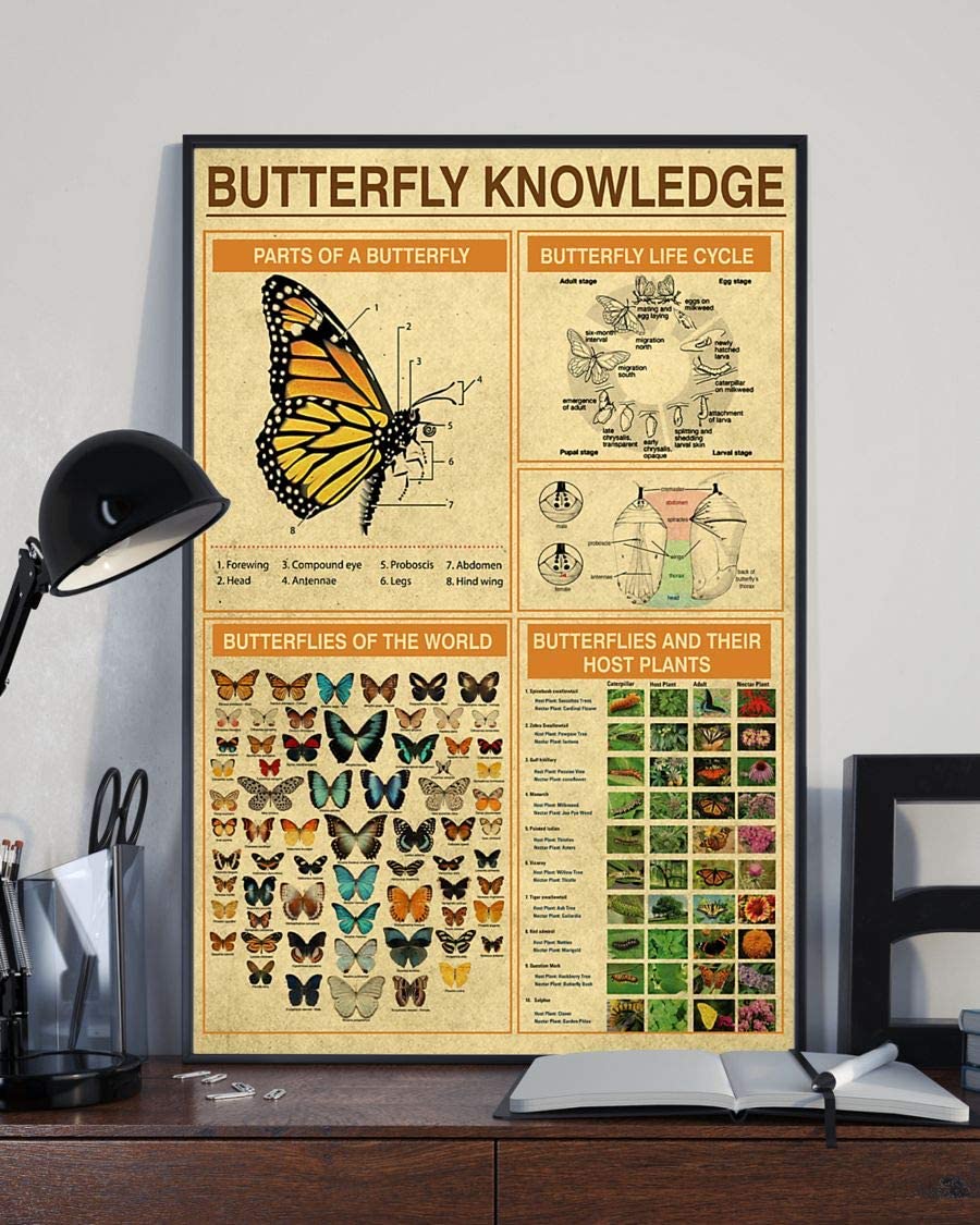 Butterfly Poster Parts Life Cycle Host Plants Butterflies Of The World Butterfly Knowledge Graphic Living Bed Kitchen Room Decoration Watercolor Canvas