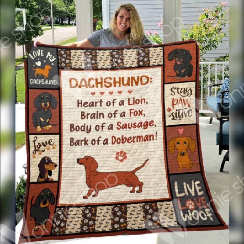 Dachshund Dog Blanket DCB2601 73O57