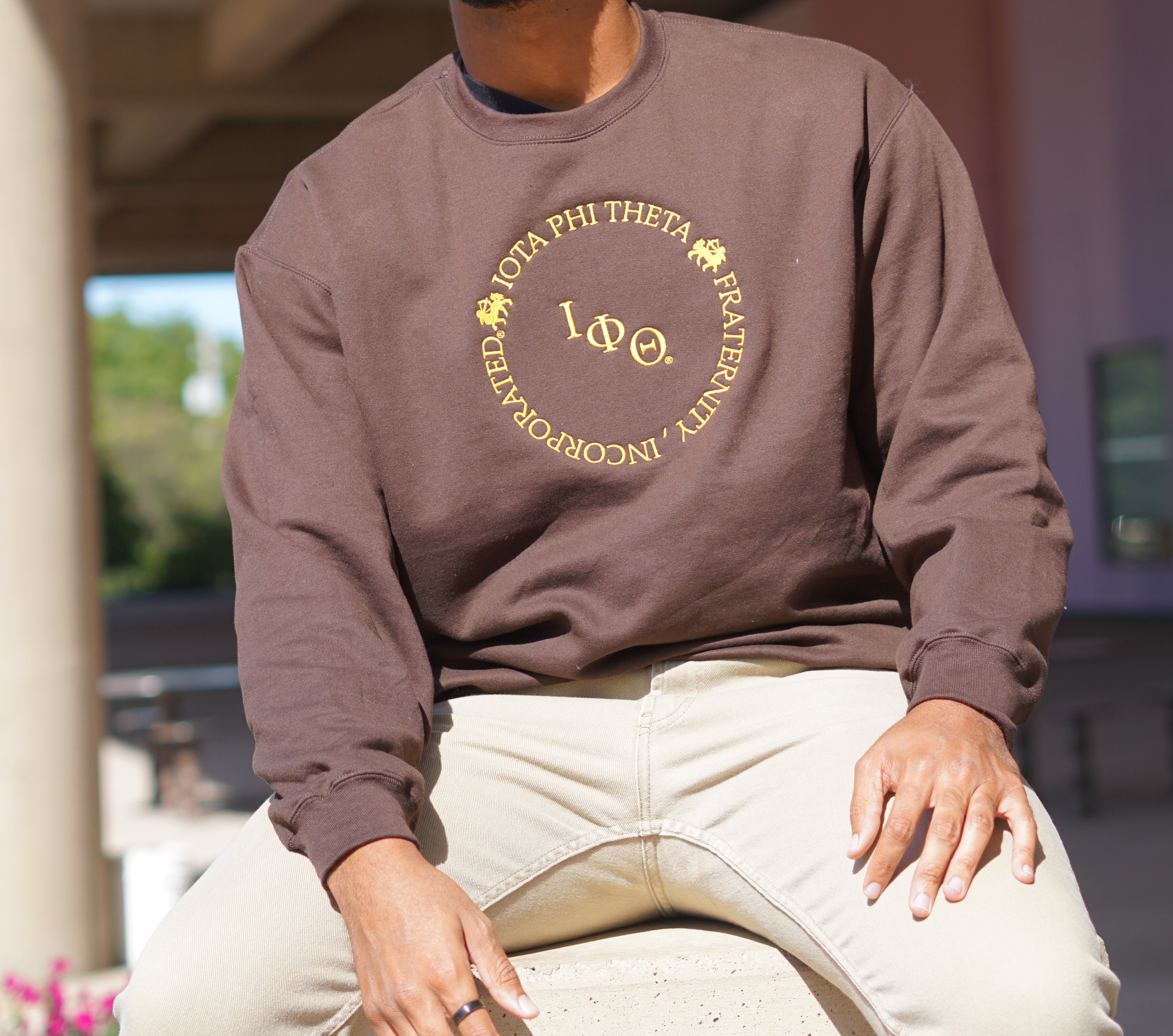 Iota 360 Degree Crewneck Sweatshirt – Iota Phi Theta