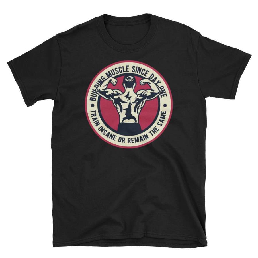 Train Insane or Remain The Same Vintage Gym Poster T-Shirt