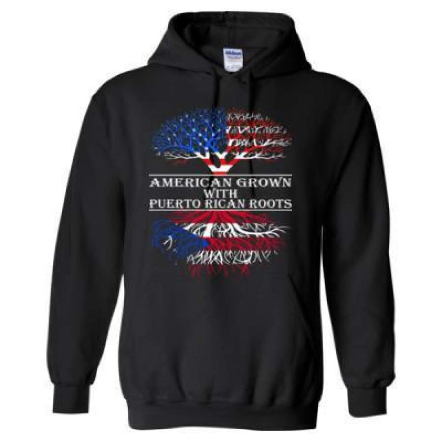 AGR American Grown With Puertorican Roots – Heavy Blend™ Hooded Sweatshirt