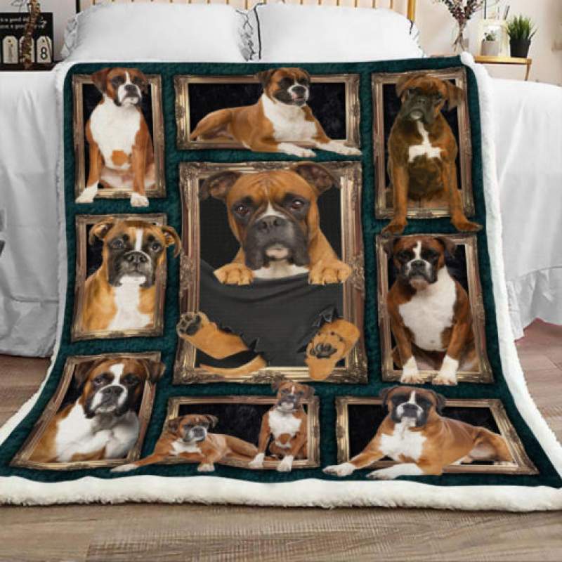 Boxer Dog Blanket JR1602 77O58