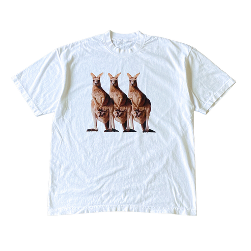 Triple Kangaroo Tee Shirt Outfit