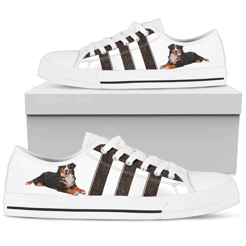 BERNESE MOUNTAIN LOW TOP SHOE – LT20591 – C594