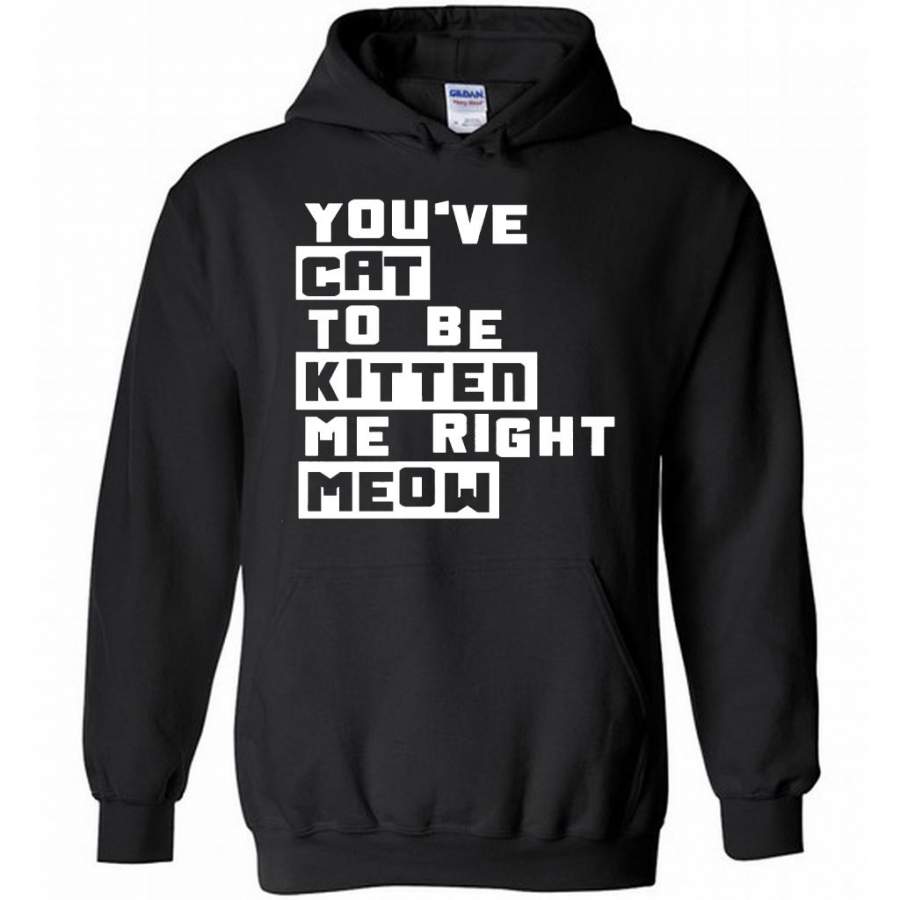 You’ve Cat To e Kitten Me Right Meow B – Gildan Heavy Blend Hoodie