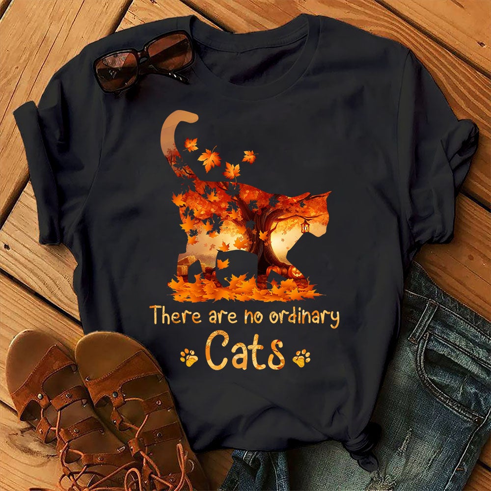 There Are No Ordinary Cats Funny Cute Cat Kitten Graphic Unisex T Shirt, Sweatshirt, Hoodie Size S – 5XL