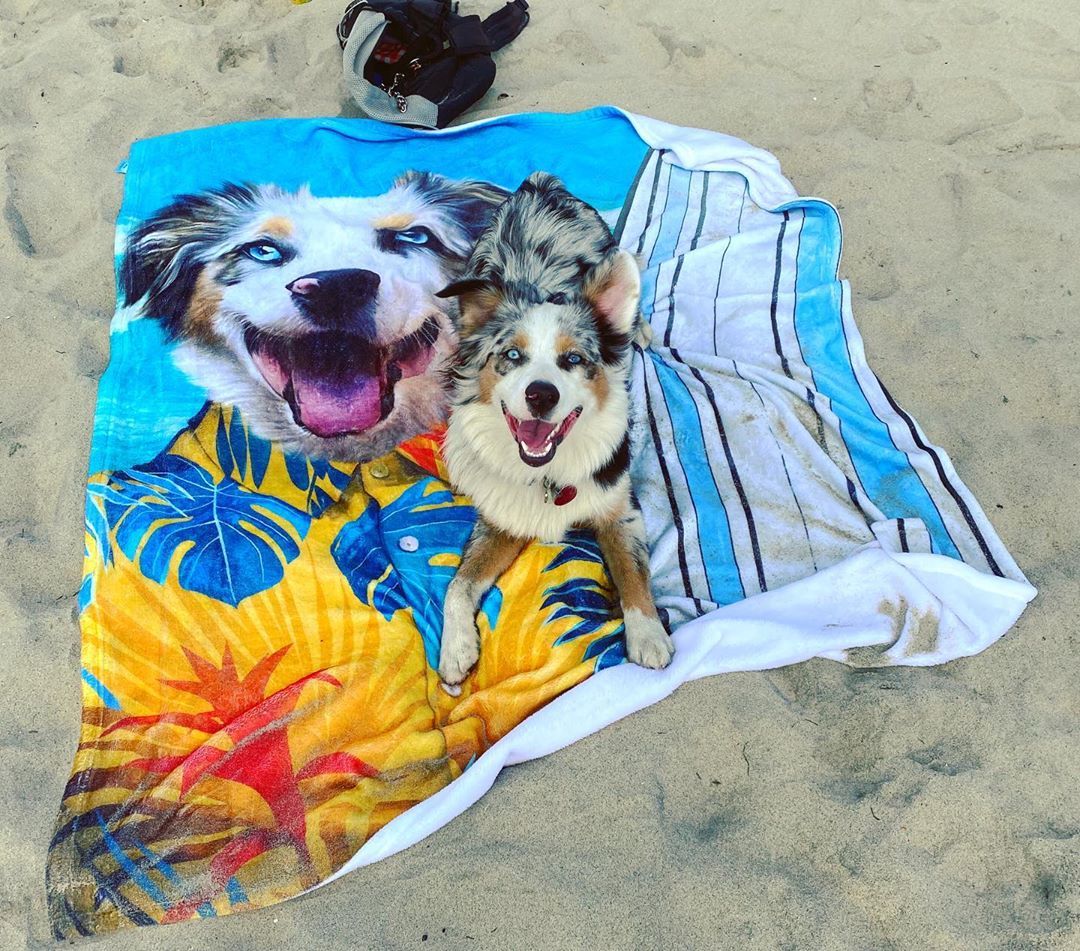 The Surfer Hawaii costume Custom Pet Quilt Blanket