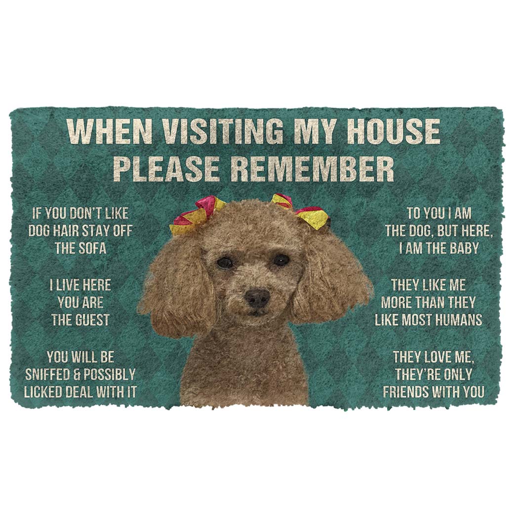 Gearhumans 3D Please Remember Dog House Rules Custom Doormat