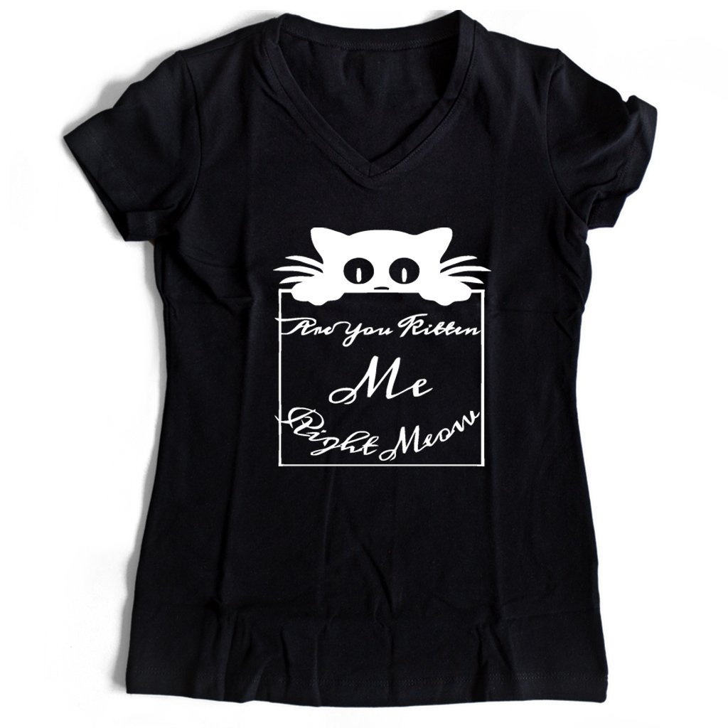 Are You Kitten Me Right Meow Lee Women’s V-Neck Tee T-Shirt