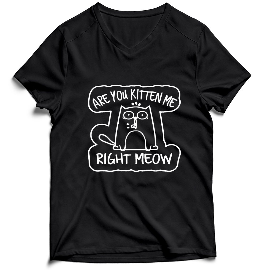 Are You Kitten Me Right Meow Vintage Range Men’s V-Neck Tee T-Shirt