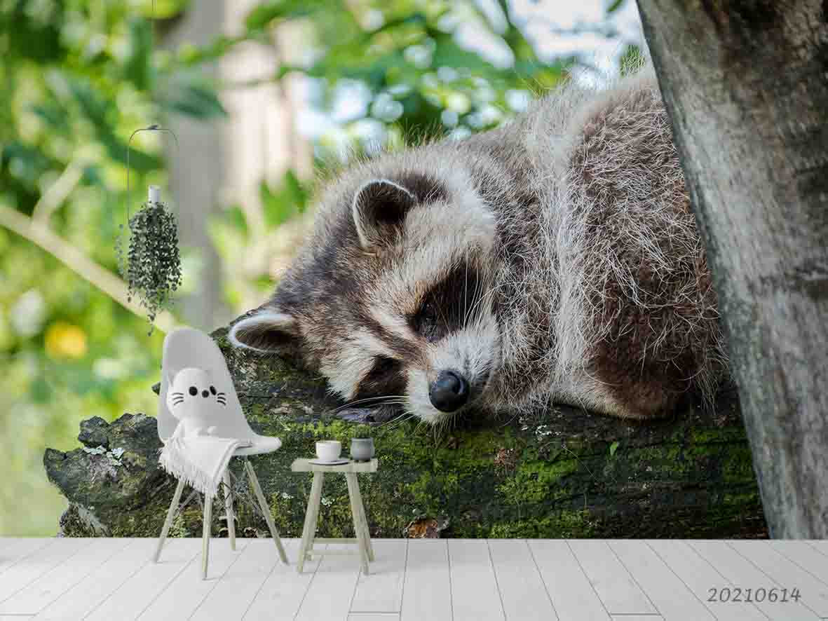 3D Forest Animal Raccoon Wall Mural Wallpaper Sww2429