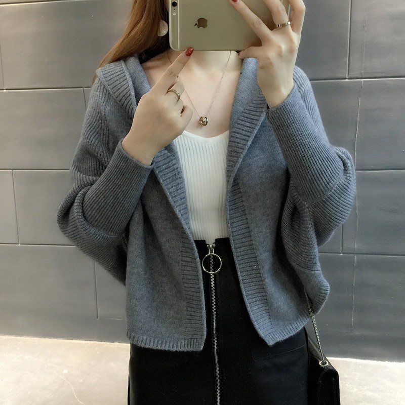 Spring And Autumn Fashion New Women’s Coat Sweater Casual Loose Hooded Sweater Cardigan Thick Bat Long Sleeve Solid Lady Sweater alx