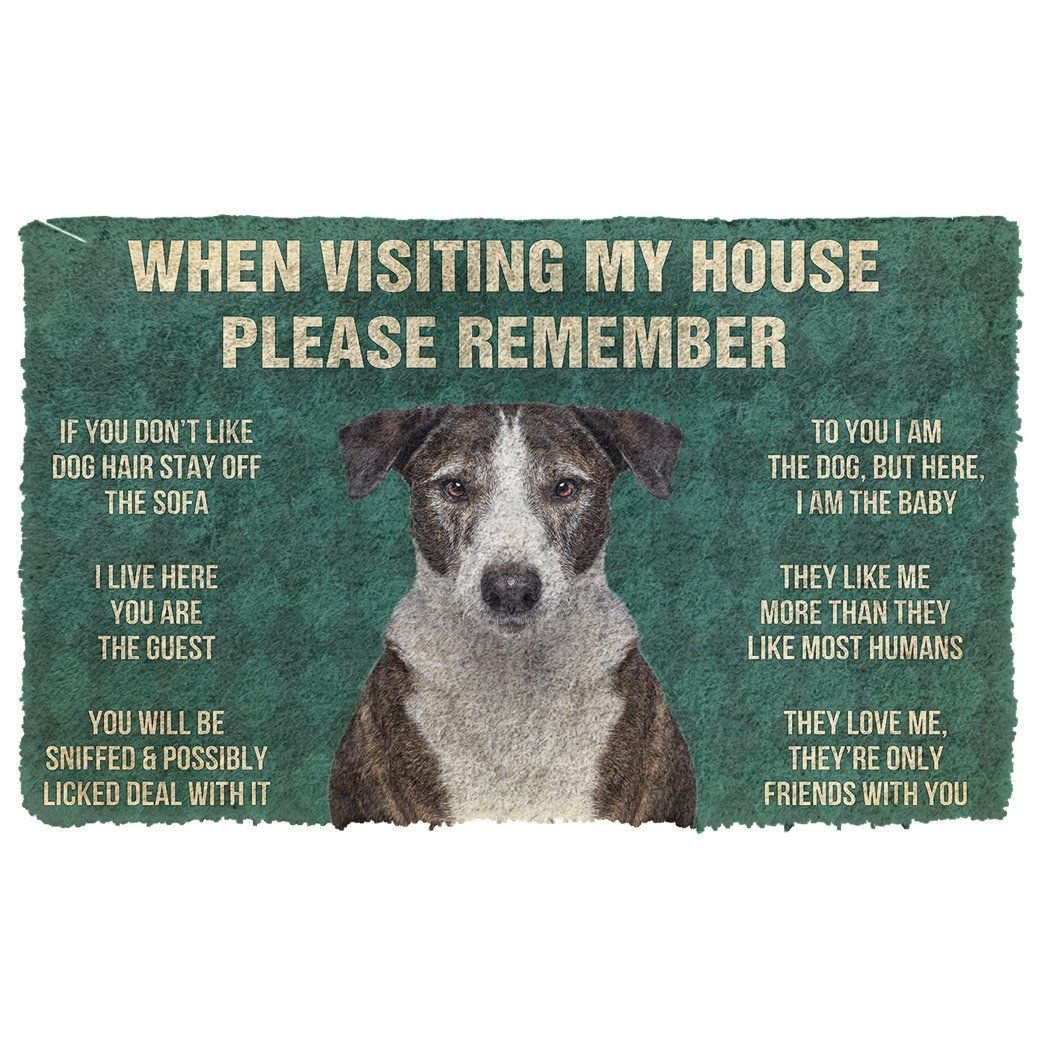 3D Please Remember Ibizan Hound Dogs House Rules Doormat