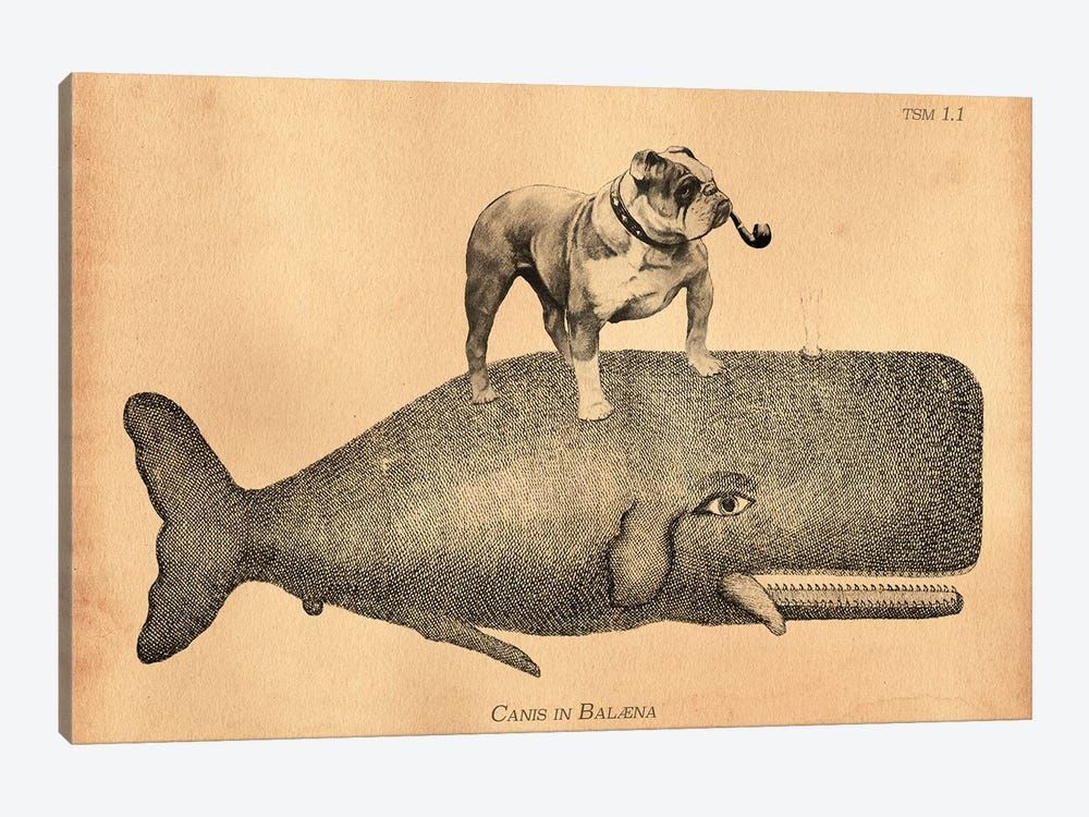 English Bulldog Whale Canvas Poster 8″x12″ 12×18″ 18″x26″ 24″x36″ 30″x45″