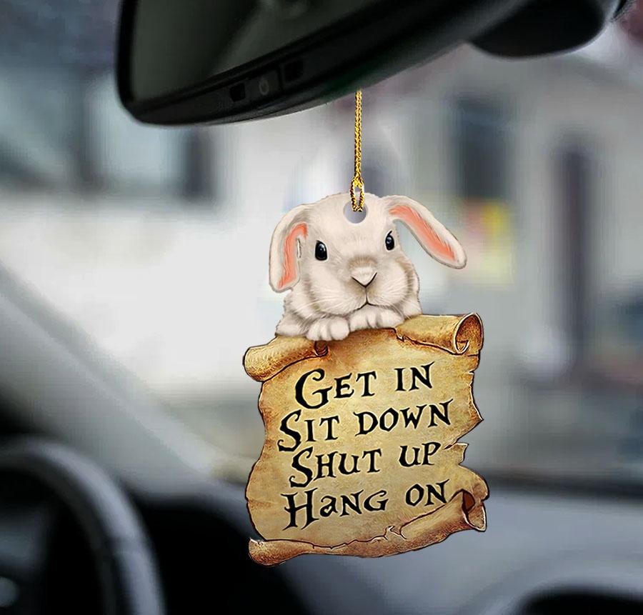 Shopeeyou – Ornaments- Bunny Get In Bunny Lover Two Sided Ornament, Dog Ornaments, Car Ornaments, Christmas Ornament, Shaped Ornament