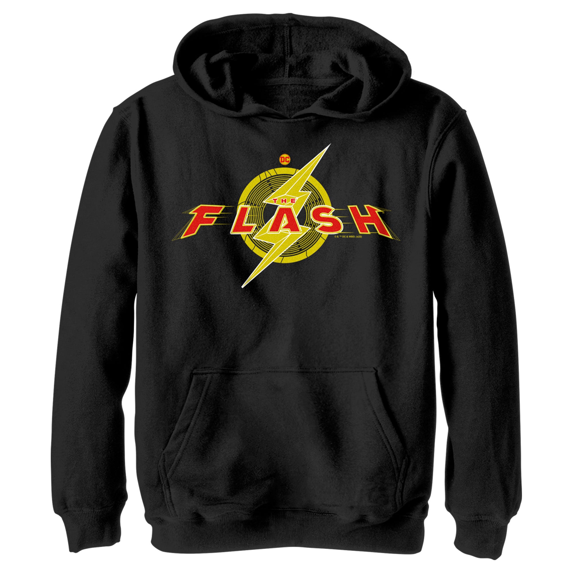 Boy’S The Flash Animated Logo Pull Over Hoodie