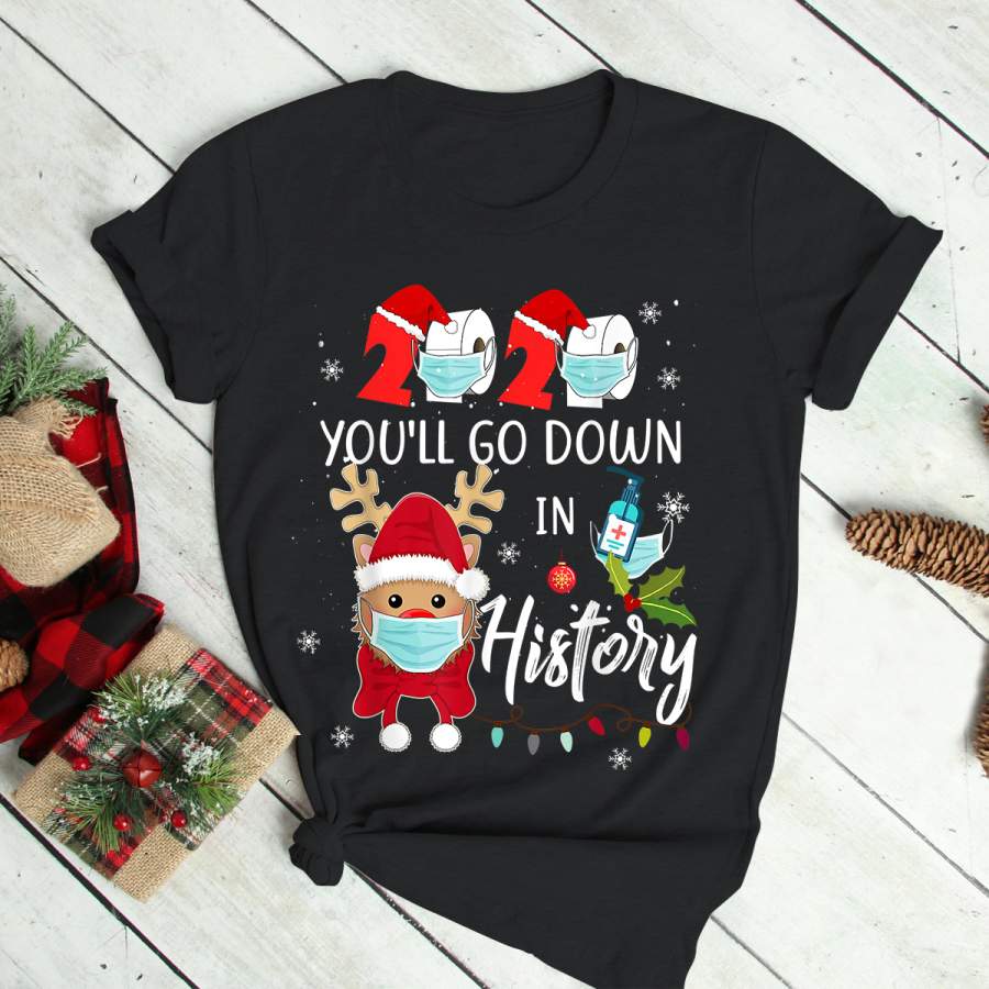 2020 You’ll Go Down In History Christmas Reindeer Mask Xmas T-Shirt