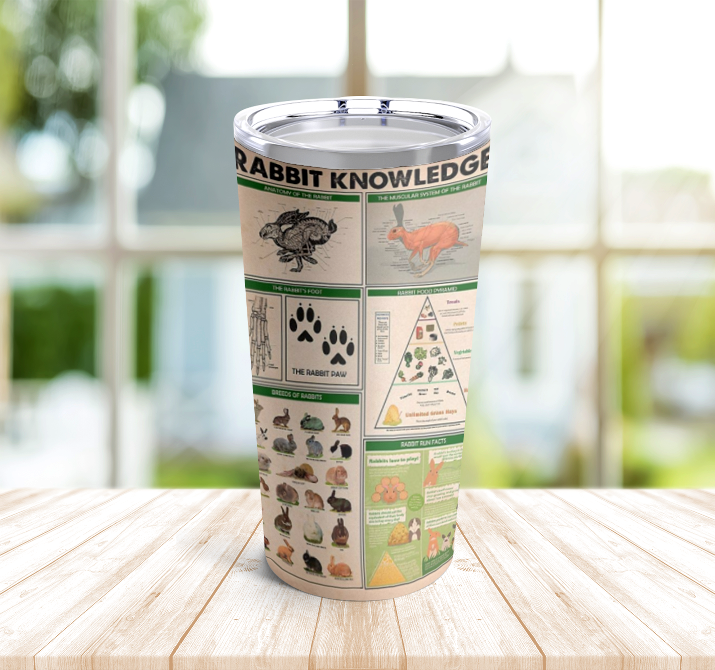 Rabbit Knowledge Tumbler Stainless Steel 20Oz