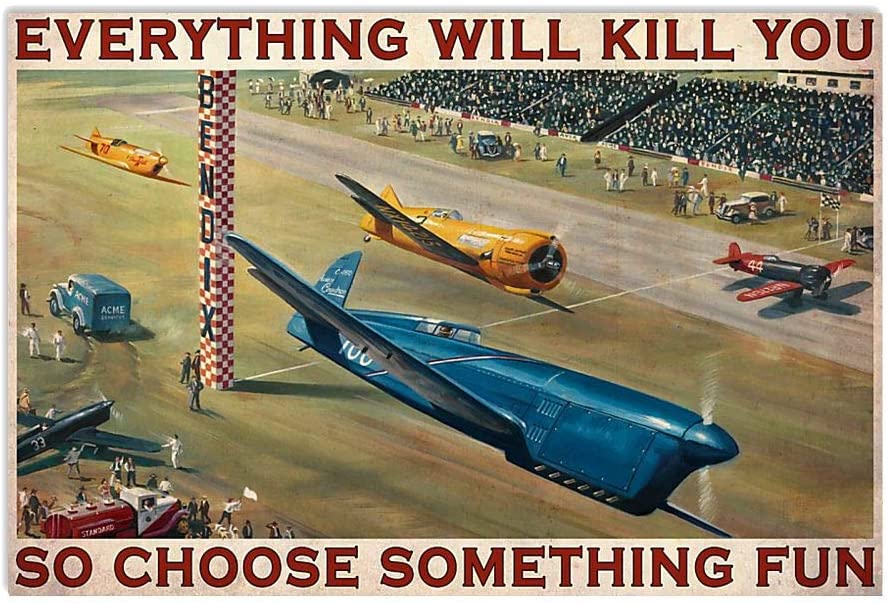 Vintage Plane Racing Choose Something Fun Poster Art Print      Home Decor Gift For Men Women Family Friend On Birthday Xmas