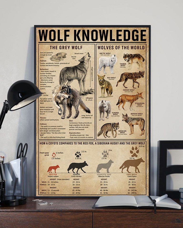 Wolf animals knowledge the grey wold woves of the world  Home Living Room Wall Decor Vertical Poster Canvas G95