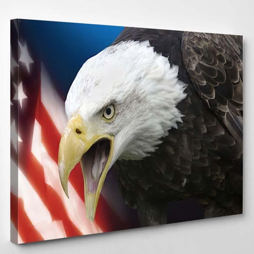 Patriotic Symbols United States America – Eagle Animals Canvas Art Wall Decor Christmas Gift Ideas