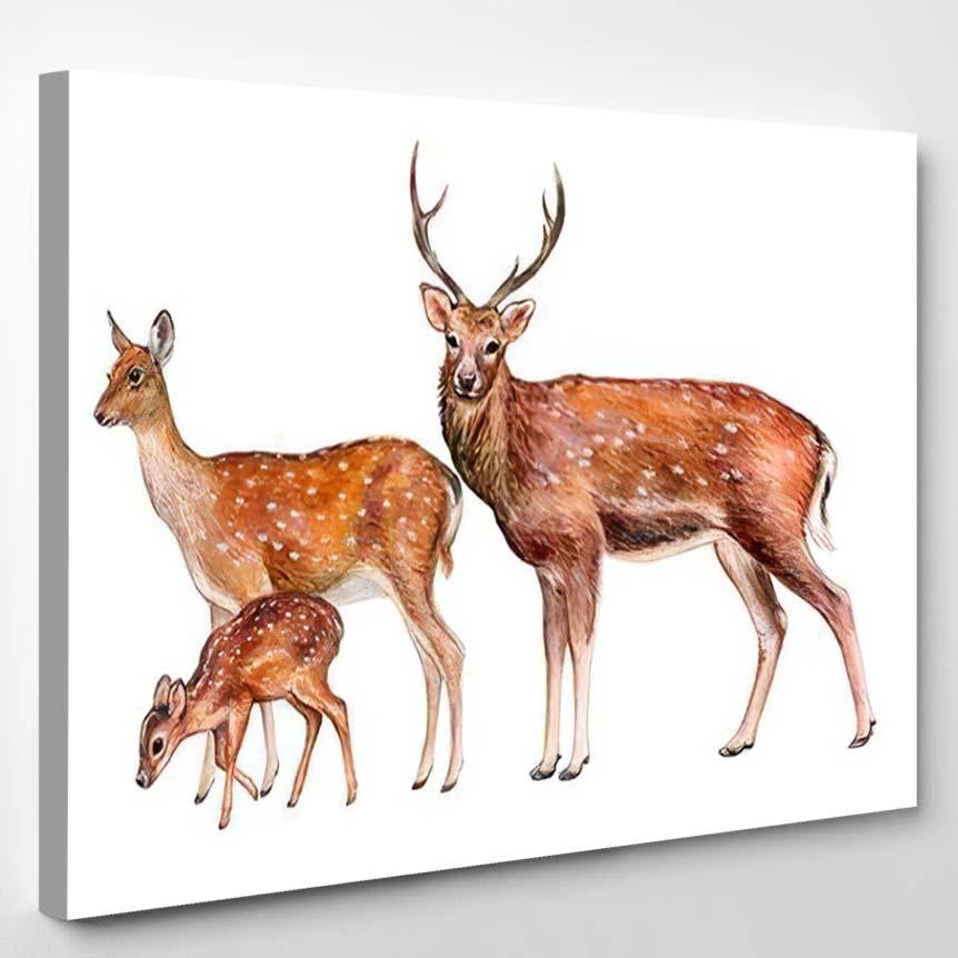 Spotted Deer Family Female Male Fawn – Deer Animals Canvas Print