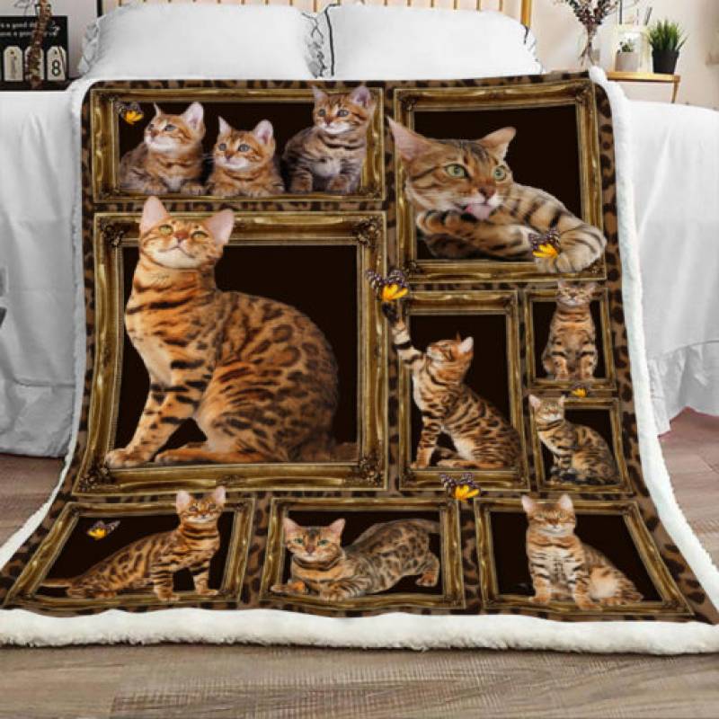 Bengal Cat Sherpa Blanket JR0901 73O51