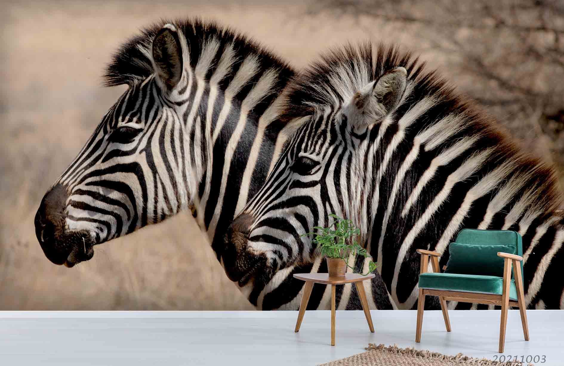 3D Wild Animal Zebra Wall Mural Wallpaper Lqh 405