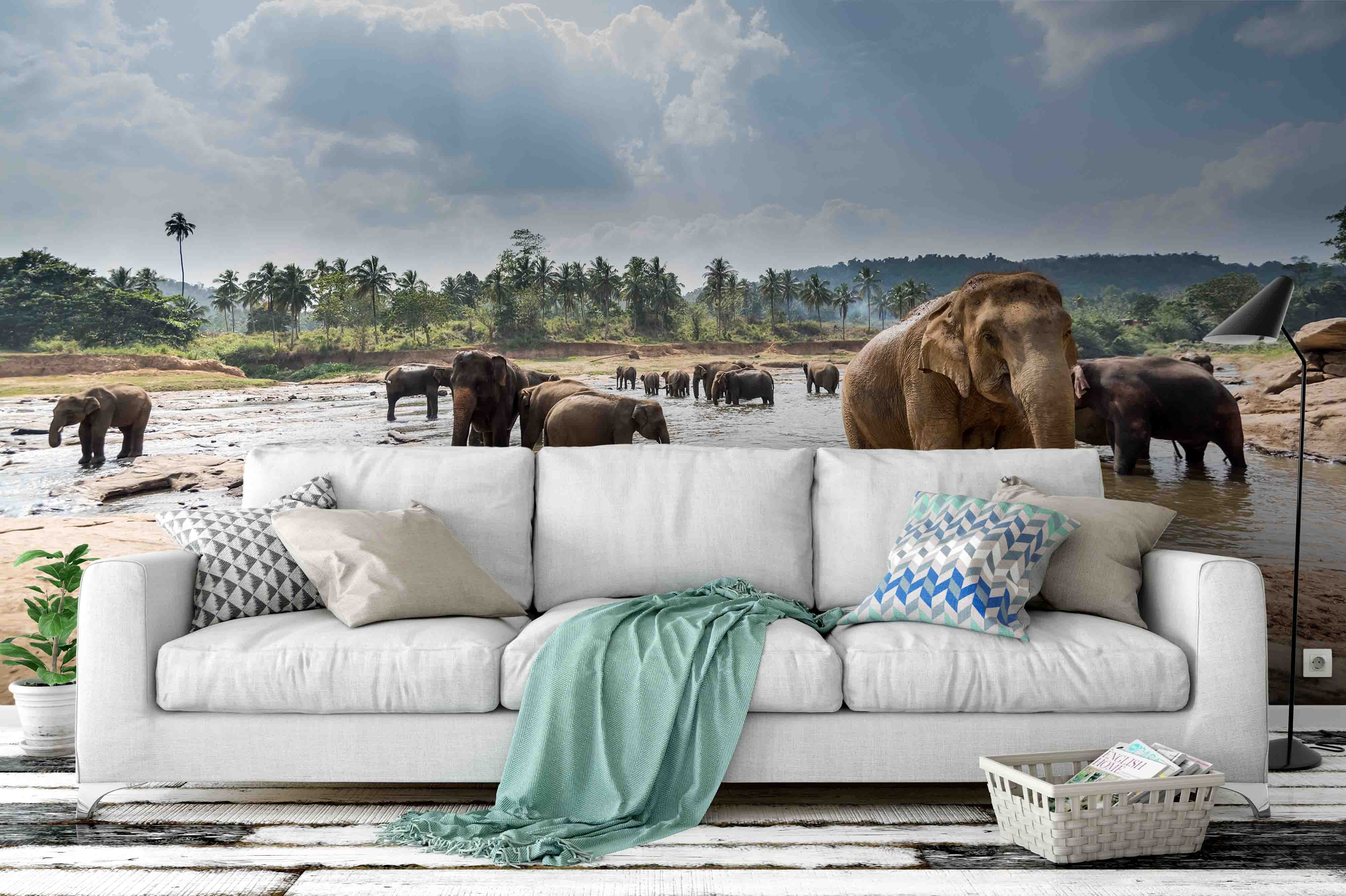 3D Elephant Beautiful Landscape Sri Lanka Wall Mural Wallpaper 25