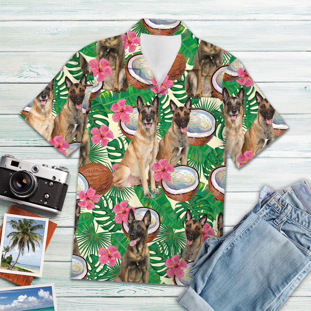 Belgian Malinois Tropical Coconut Hawaii Shirt Ha40513