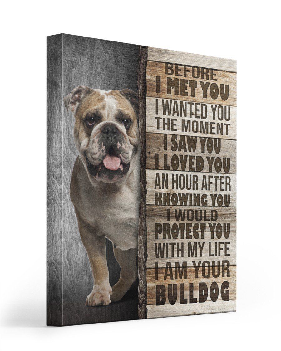 Before I Met You English Bulldog Lover Canvas Home Decor Matte Canvas