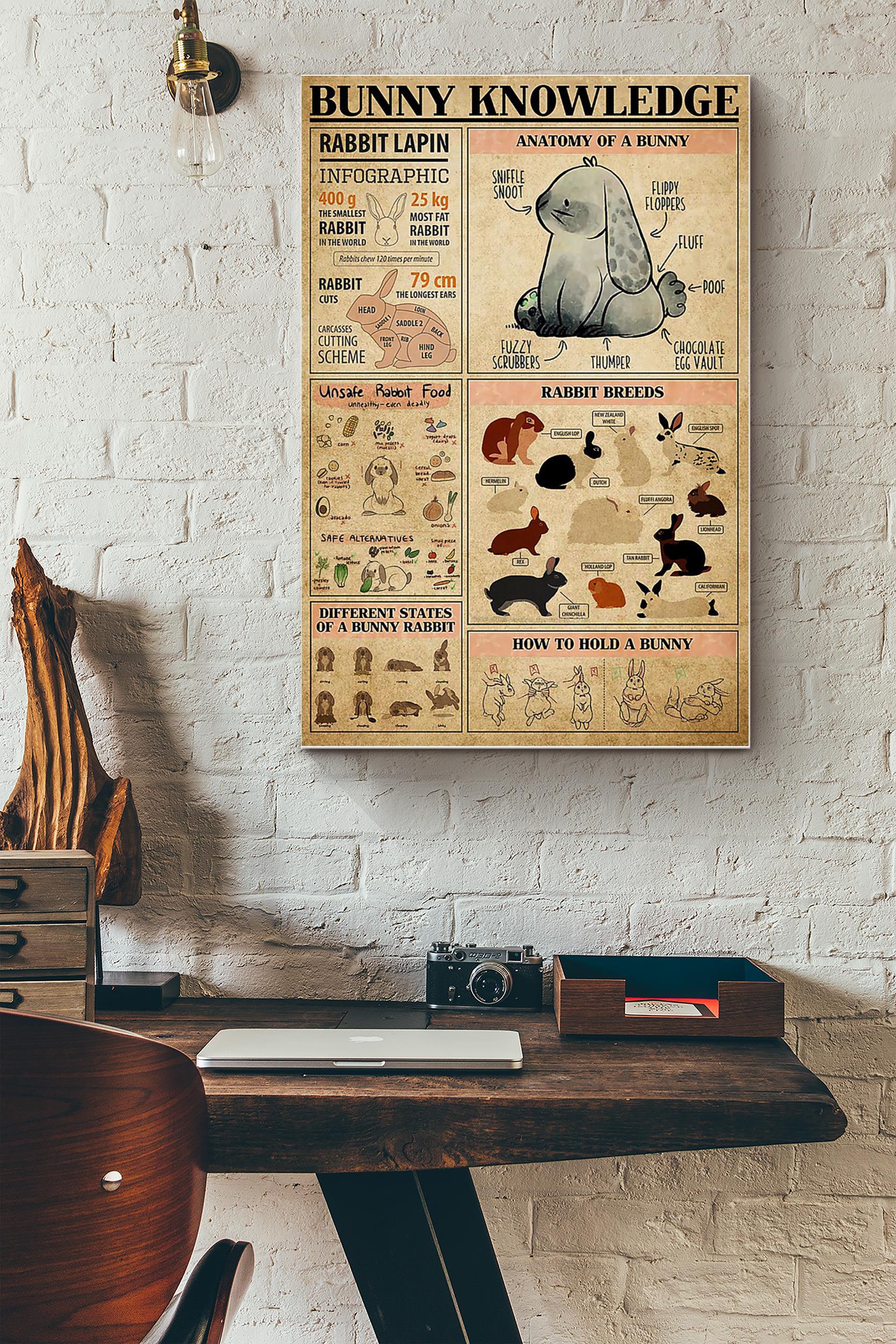 Rabbit Bunny Knowledge_1Ysunwoq (Unframed) Poster