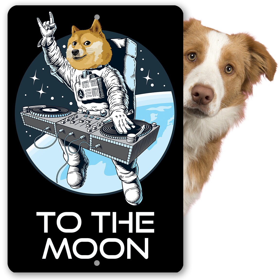 Dogecoin To The Moon – 8″ x 12″ or 12″ x 18″ Aluminum Tin Awesome Metal Poster