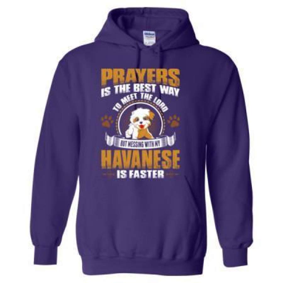 AGR Prayers Is The Best Way To Meet The Lord But Messing With My Havanese Is Faster – Heavy Blend™ Hooded Sweatshirt