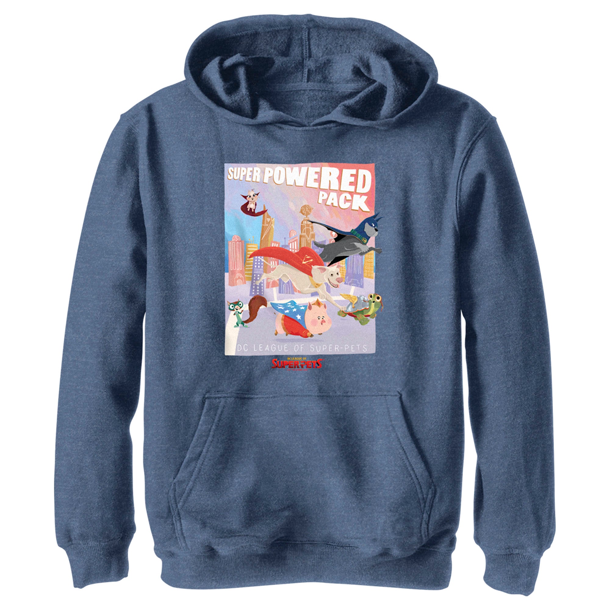 Boy’S Dc League Of Super-Pets Powered Pack Poster Pull Over Hoodie