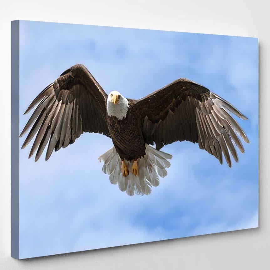 American National Symbol Bald Eagle Wings – Eagle Animals Canvas Print