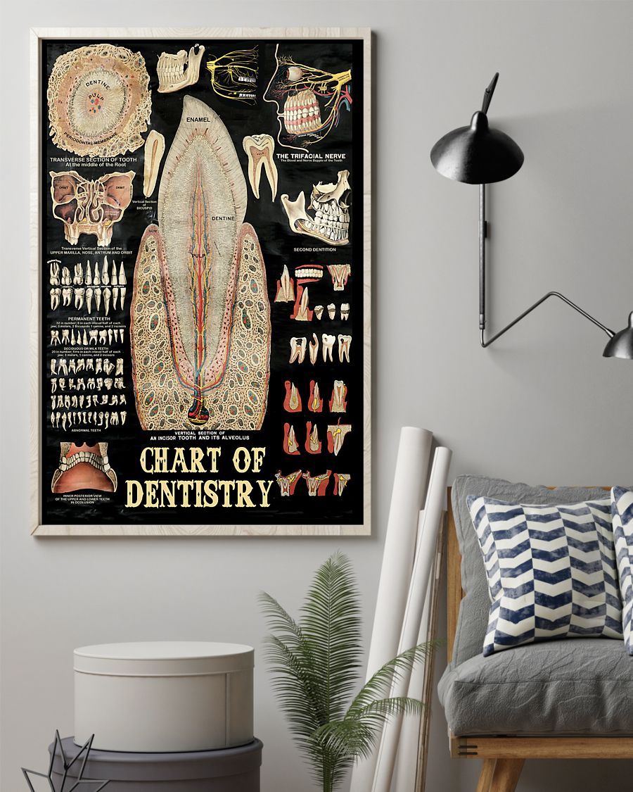 Professions Poster – Dentist Chart Of Dentistry Vertical Canvas And Poster | Wall Decor Visual Art