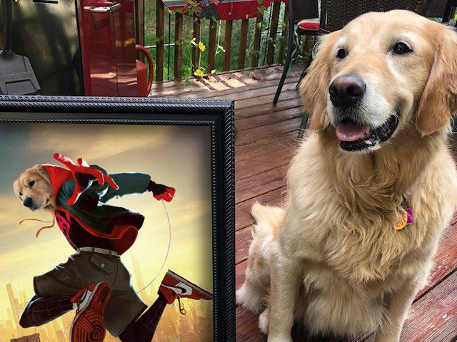 Spider Dog Into The Spider Verse Single – Custom Pet Canvas