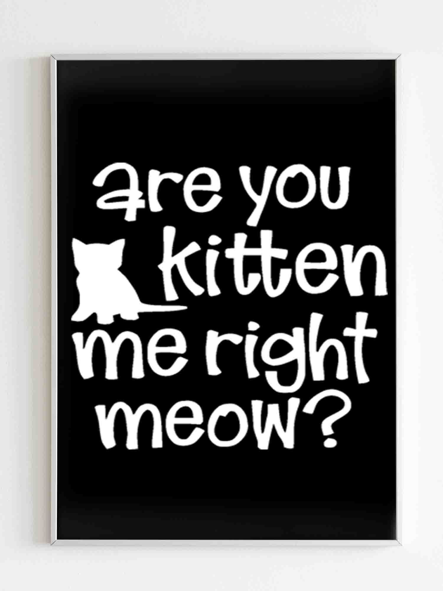 Are You Kitten Me Right Meow Onesie Poster