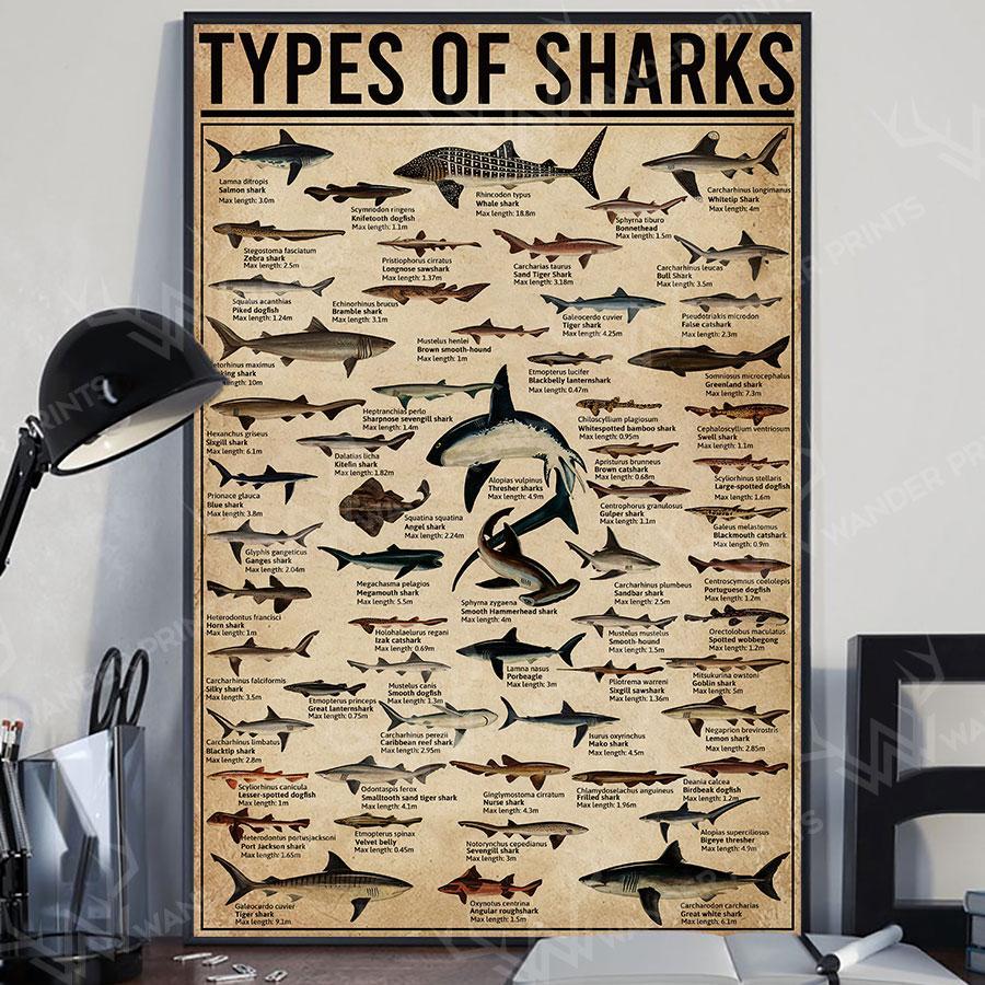 Types Of Sharks Canvas Poster Wall Art