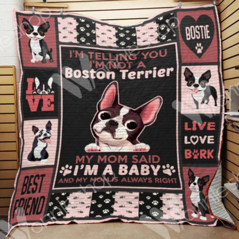 Boston Terrier Dog Blanket NOV2102 70O56